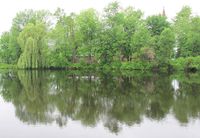 The Raquette River at Ives Park